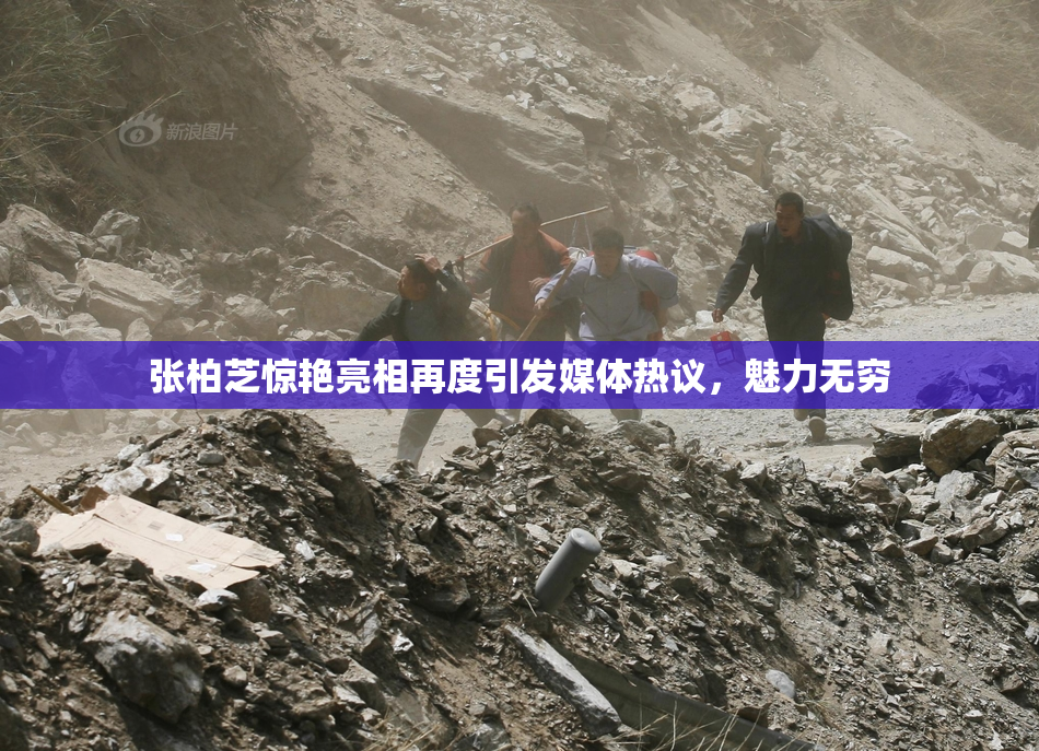 张柏芝惊艳亮相再度引发媒体热议，魅力无穷