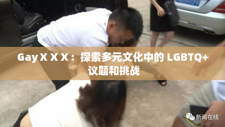 GayⅩⅩⅩ：探索多元文化中的 LGBTQ+ 议题和挑战