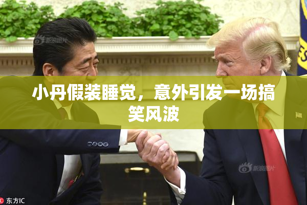 小丹假装睡觉，意外引发一场搞笑风波