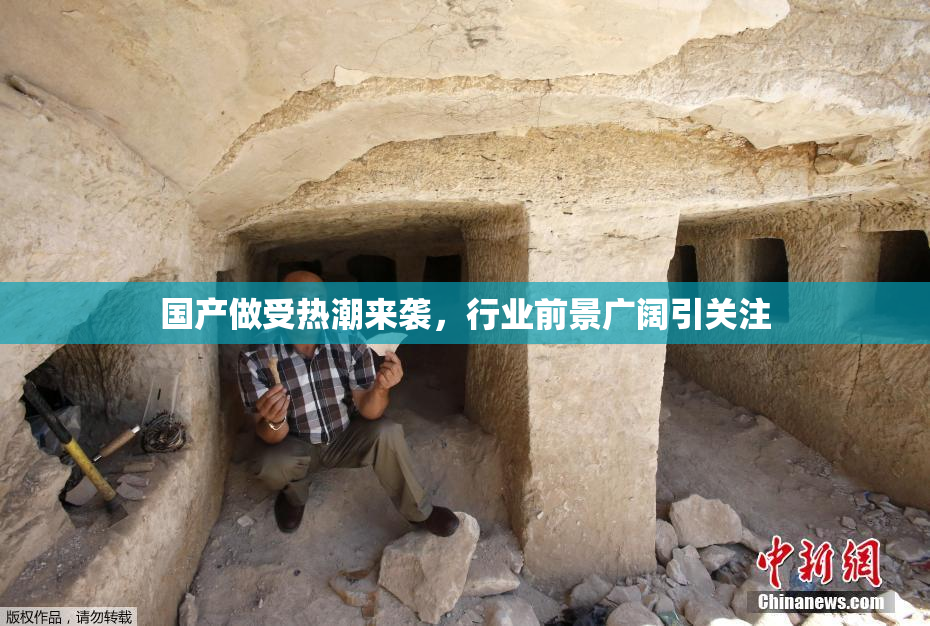国产做受热潮来袭，行业前景广阔引关注