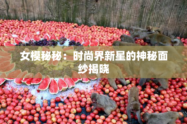 女模秘秘：时尚界新星的神秘面纱揭晓