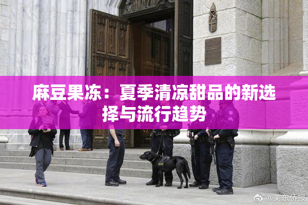 麻豆果冻：夏季清凉甜品的新选择与流行趋势