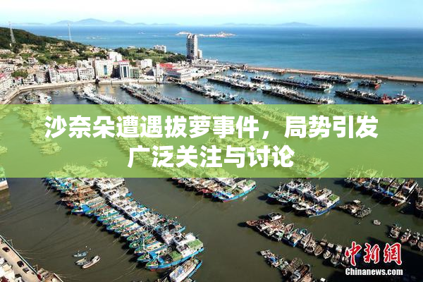沙奈朵遭遇拔萝事件，局势引发广泛关注与讨论