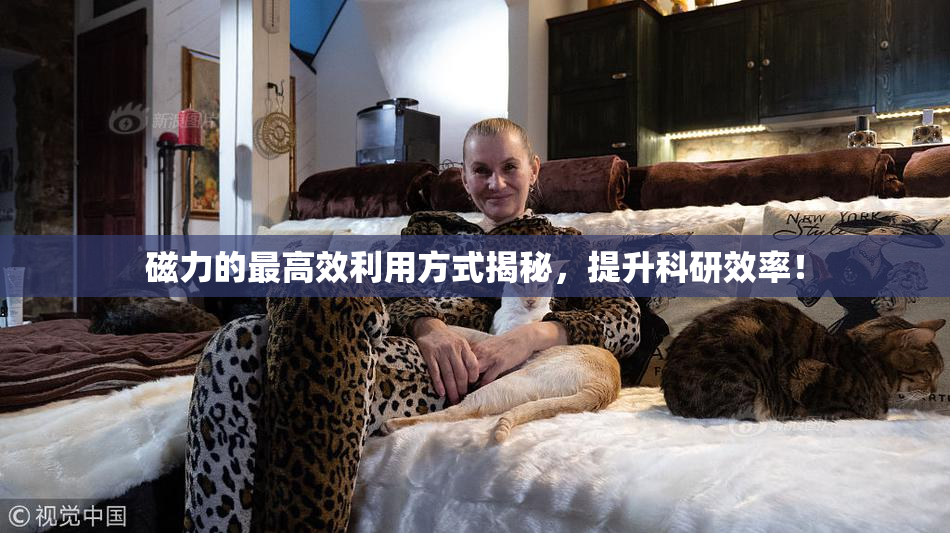磁力的最高效利用方式揭秘，提升科研效率！