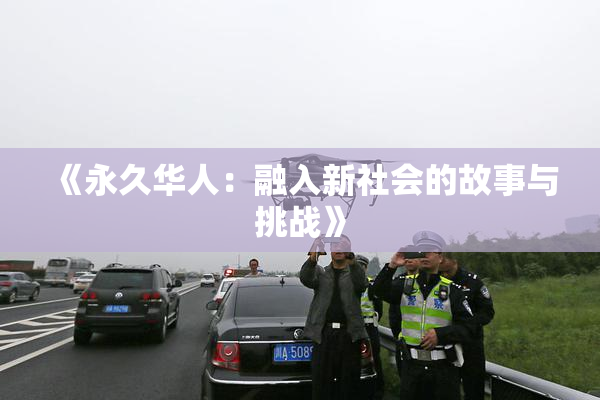 《永久华人：融入新社会的故事与挑战》