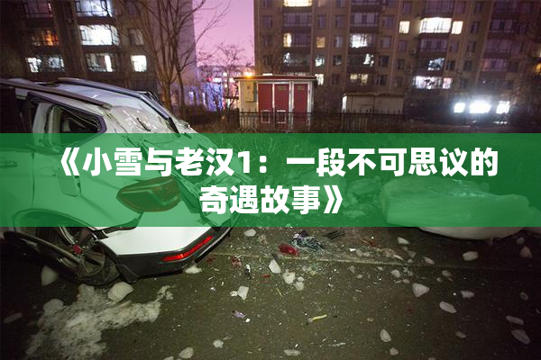 《小雪与老汉1：一段不可思议的奇遇故事》