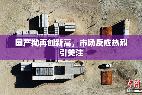 国产拗再创新高，市场反应热烈引关注