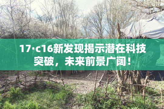 17·c16新发现揭示潜在科技突破，未来前景广阔！