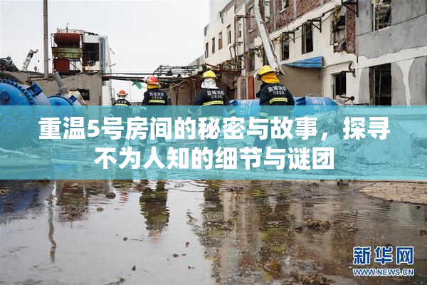重温5号房间的秘密与故事，探寻不为人知的细节与谜团