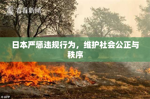 日本严惩违规行为，维护社会公正与秩序