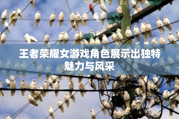 王者荣耀女游戏角色展示出独特魅力与风采