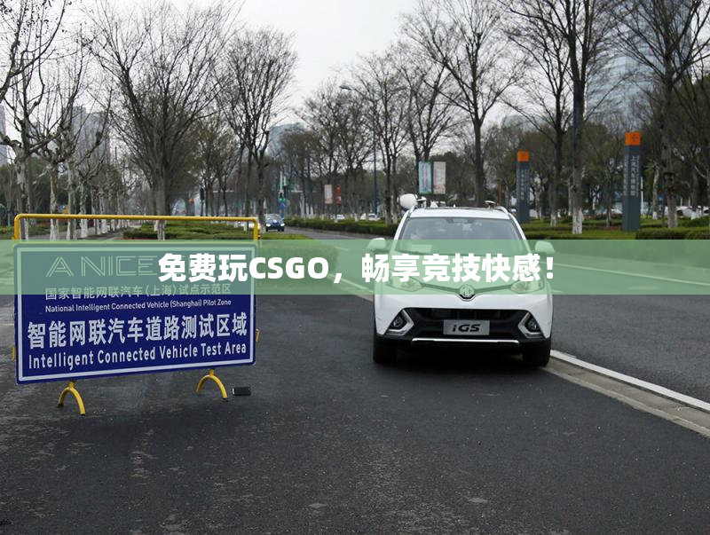 免费玩CSGO，畅享竞技快感！