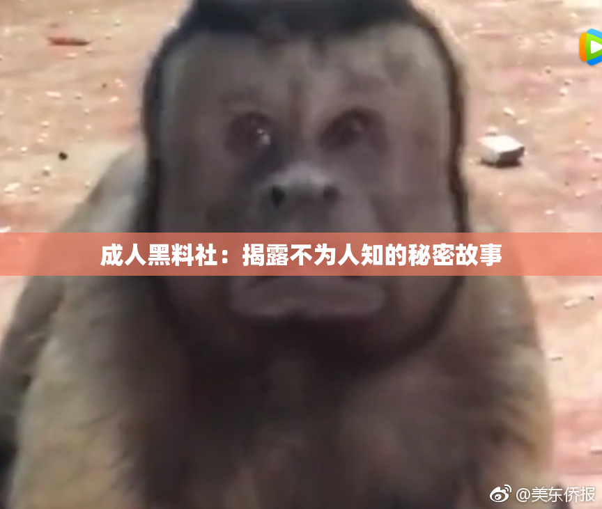 成人黑料社：揭露不为人知的秘密故事