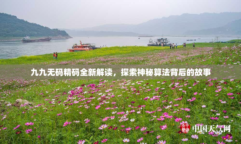 九九无码精码全新解读，探索神秘算法背后的故事