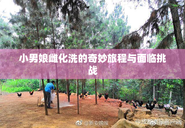 小男娘雌化洗的奇妙旅程与面临挑战