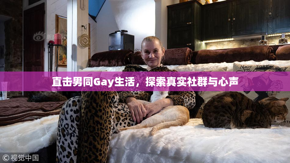 直击男同Gay生活，探索真实社群与心声