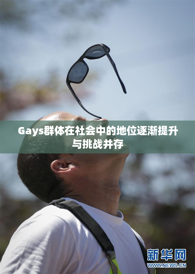 Gays群体在社会中的地位逐渐提升与挑战并存