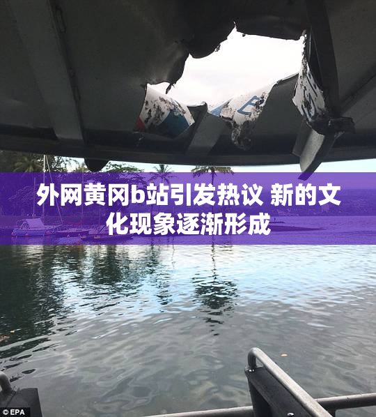 外网黄冈b站引发热议 新的文化现象逐渐形成