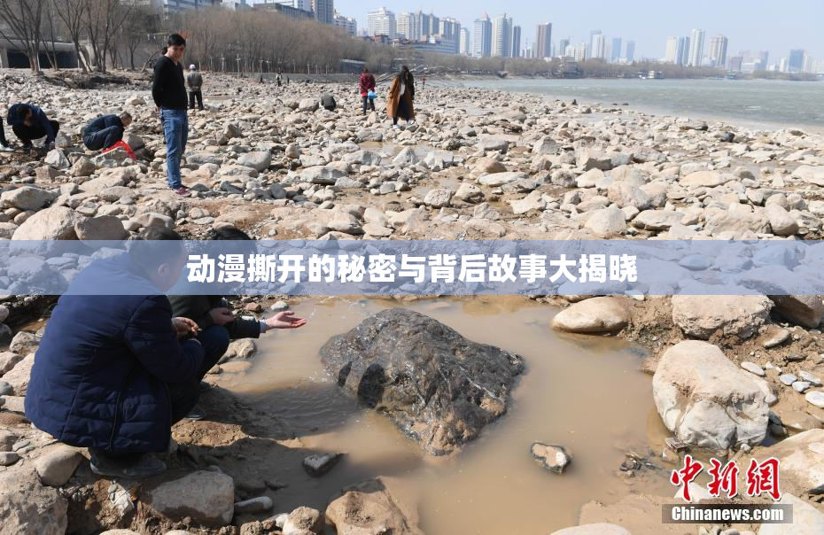 动漫撕开的秘密与背后故事大揭晓