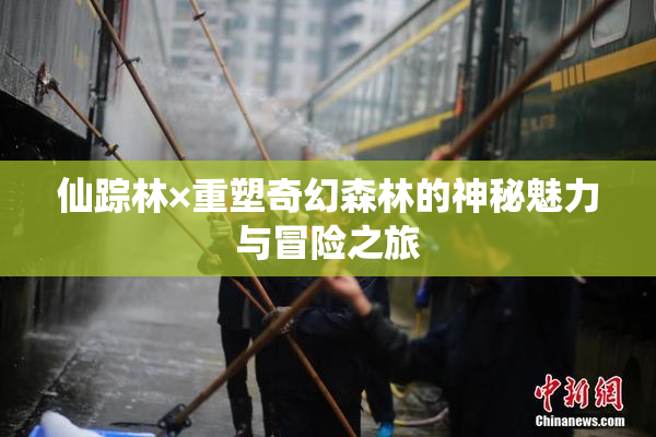 仙踪林×重塑奇幻森林的神秘魅力与冒险之旅