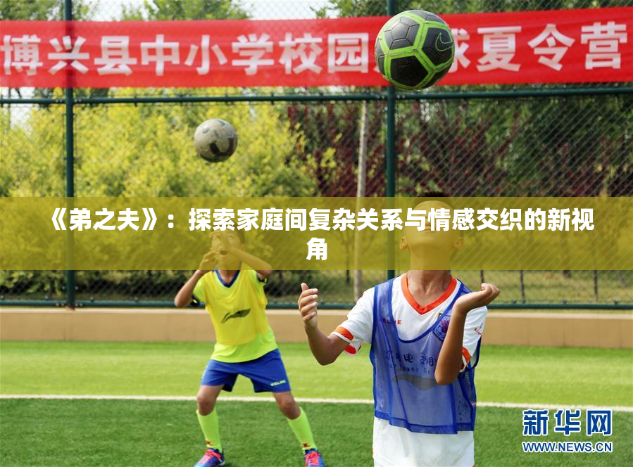 《弟之夫》：探索家庭间复杂关系与情感交织的新视角