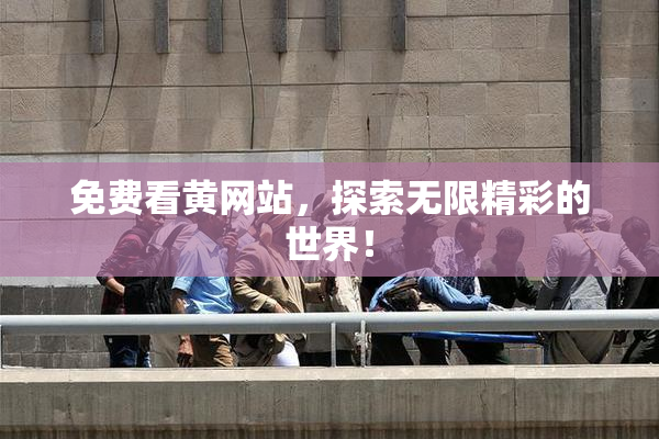 免费看黄网站，探索无限精彩的世界！