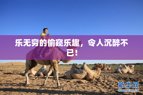 乐无穷的偷窥乐趣，令人沉醉不已！