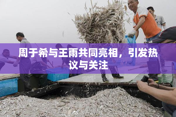 周于希与王雨共同亮相，引发热议与关注