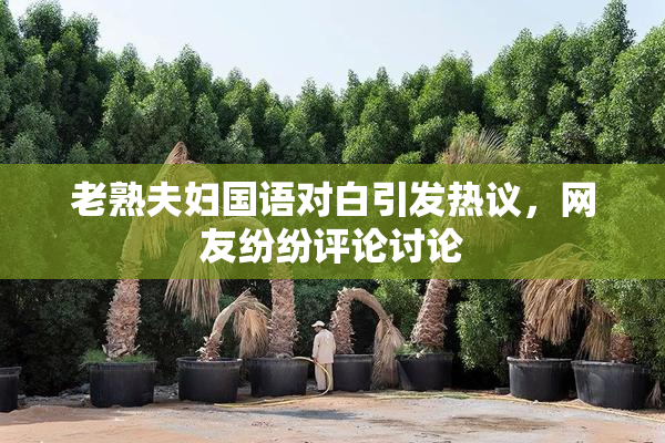 老熟夫妇国语对白引发热议，网友纷纷评论讨论