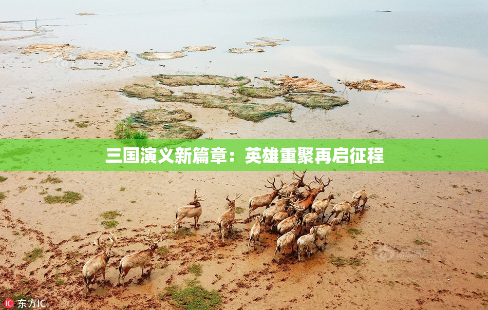 三国演义新篇章：英雄重聚再启征程