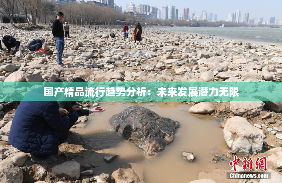 国产精品流行趋势分析：未来发展潜力无限