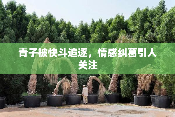 青子被快斗追逐，情感纠葛引人关注