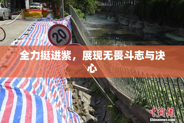 全力挺进紫，展现无畏斗志与决心