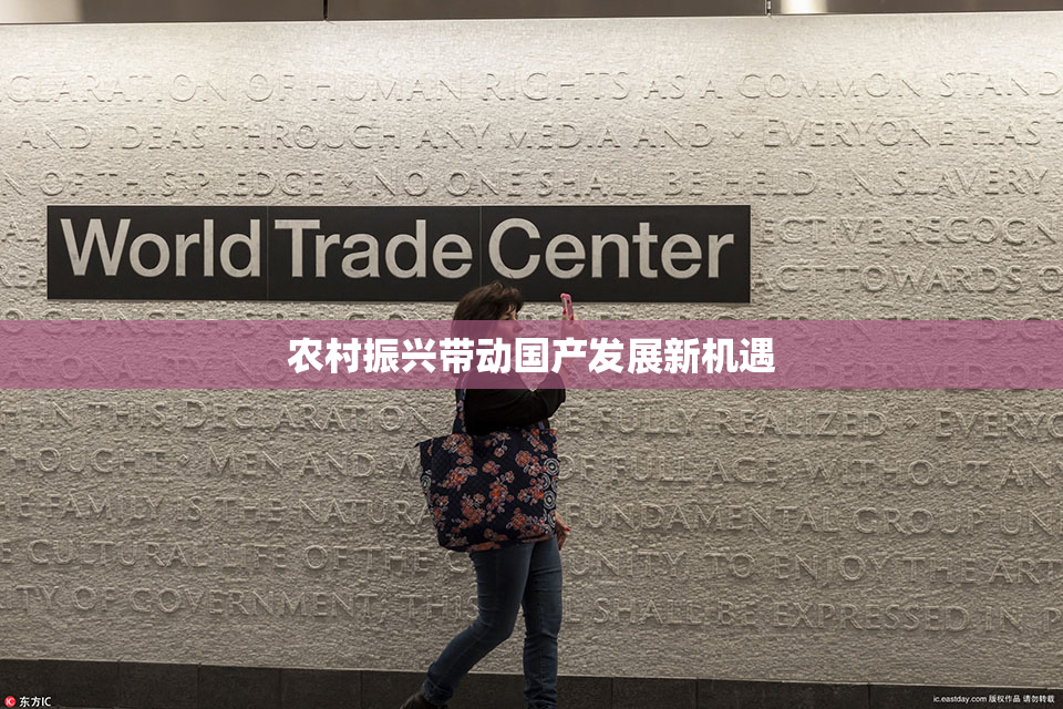 农村振兴带动国产发展新机遇