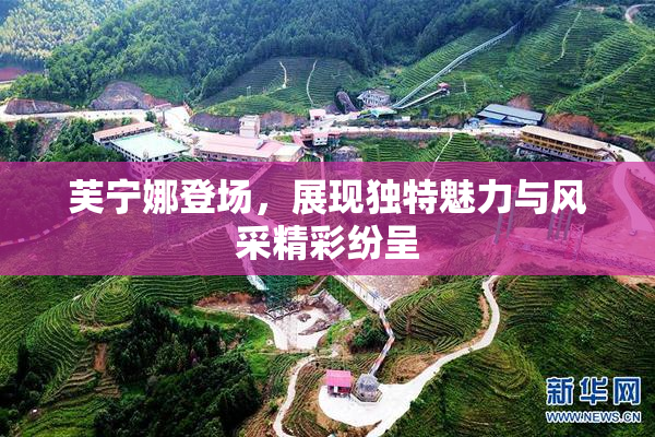芙宁娜登场，展现独特魅力与风采精彩纷呈