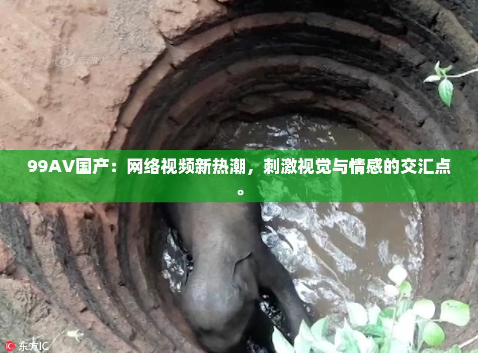99AV国产：网络视频新热潮，刺激视觉与情感的交汇点。