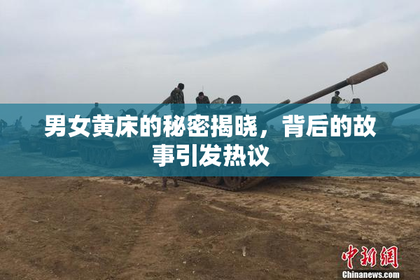 男女黄床的秘密揭晓，背后的故事引发热议