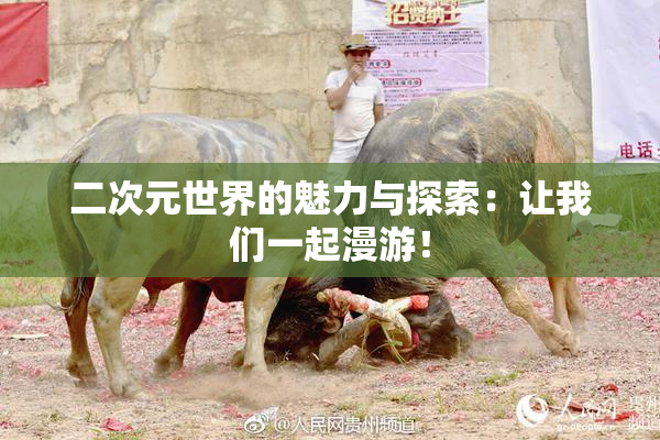 二次元世界的魅力与探索：让我们一起漫游！