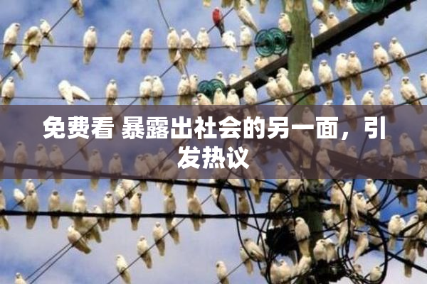 免费看 暴露出社会的另一面，引发热议
