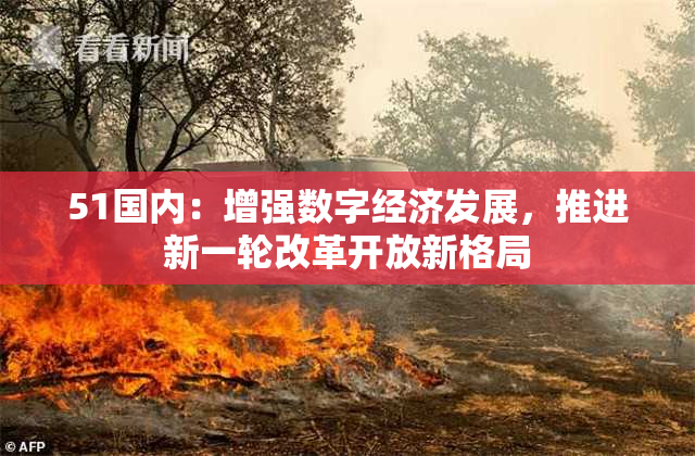 51国内：增强数字经济发展，推进新一轮改革开放新格局