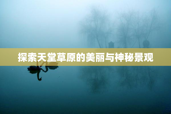 探索天堂草原的美丽与神秘景观
