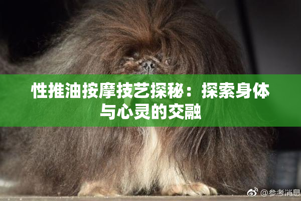性推油按摩技艺探秘：探索身体与心灵的交融