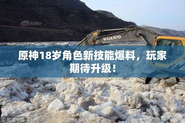 原神18岁角色新技能爆料，玩家期待升级！