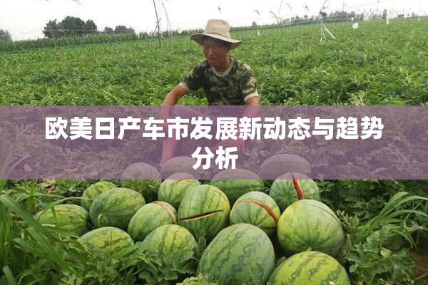 欧美日产车市发展新动态与趋势分析