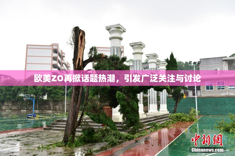 欧美ZO再掀话题热潮，引发广泛关注与讨论
