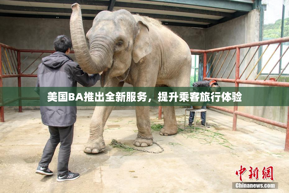 美国BA推出全新服务，提升乘客旅行体验