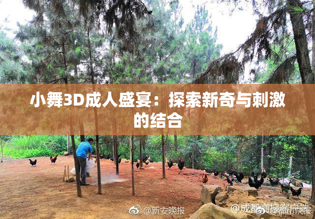 小舞3D成人盛宴：探索新奇与刺激的结合