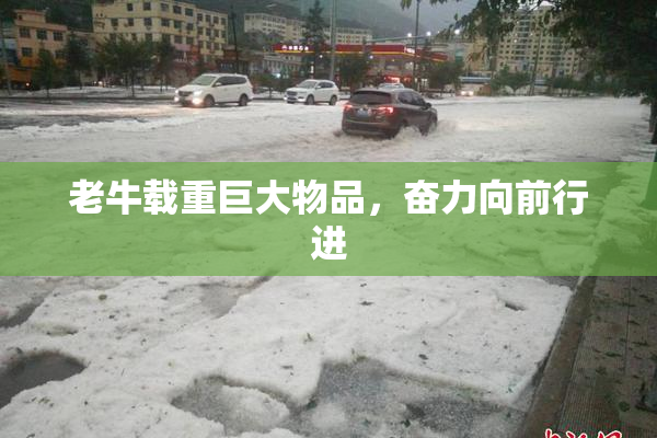 老牛载重巨大物品，奋力向前行进