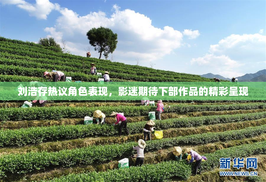 刘浩存热议角色表现，影迷期待下部作品的精彩呈现