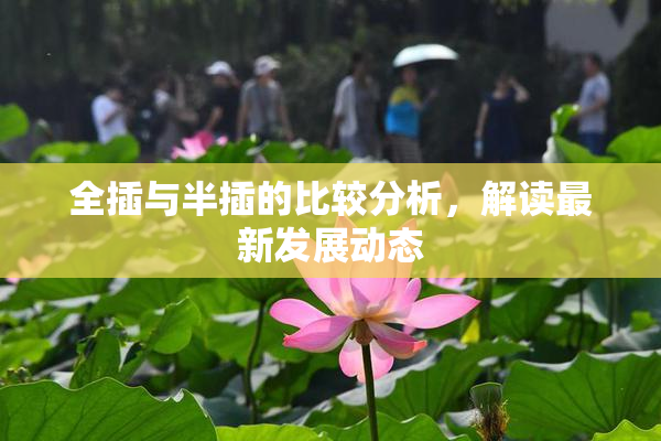 全插与半插的比较分析，解读最新发展动态